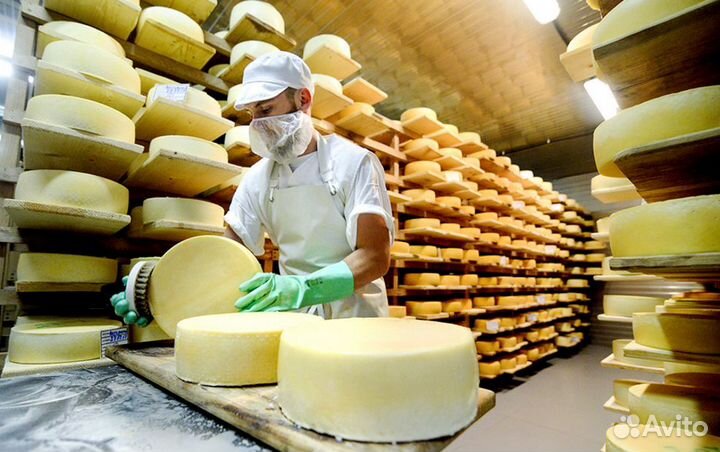 Грузчик на производство сыра с ежедневной оплатой