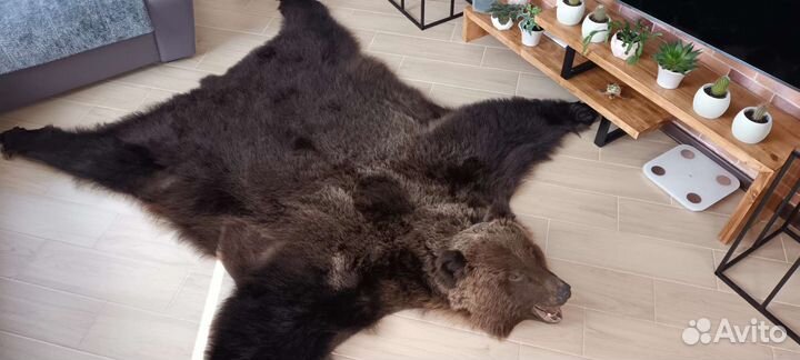 Шкура медведя (имитация)