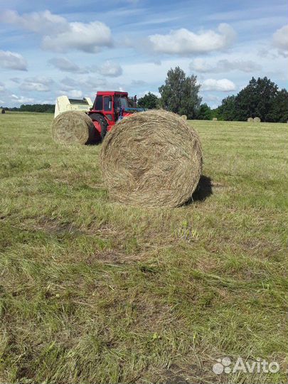 Сено,салома