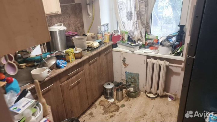 Вынос мусора и антисанитарии перед уборкой