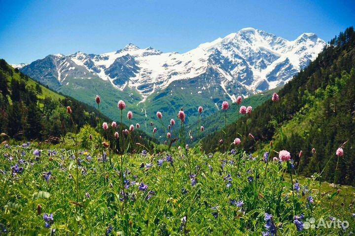 21июл24 тур Сокровища Северного Кавказа рэ3014