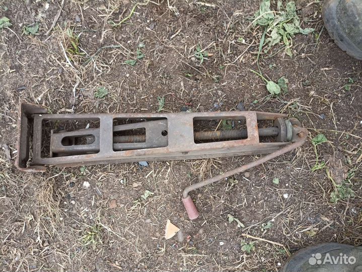 Домкрат волговский