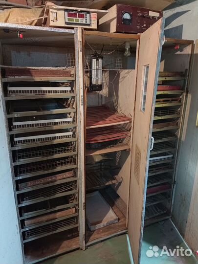 Инкубатор для яиц автоматический бу