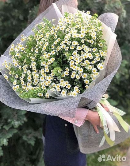 Букеты ромашек