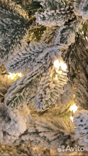 Ель заснеженная 