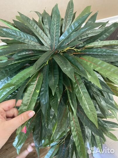 Искусственные цветы, дерево, пальма