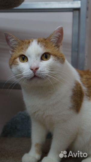 В ожидании семьи