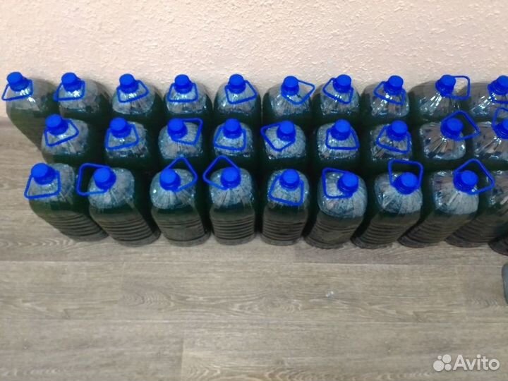 Хлорелла живая