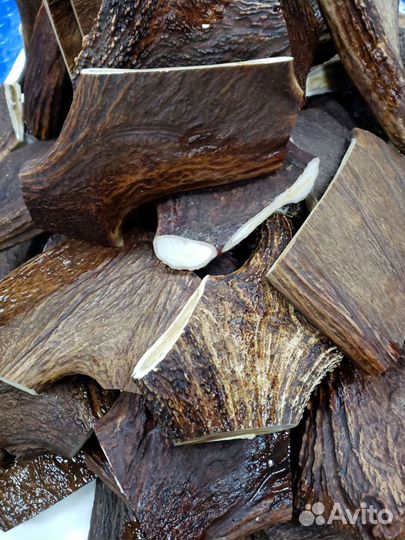 Рога для собак