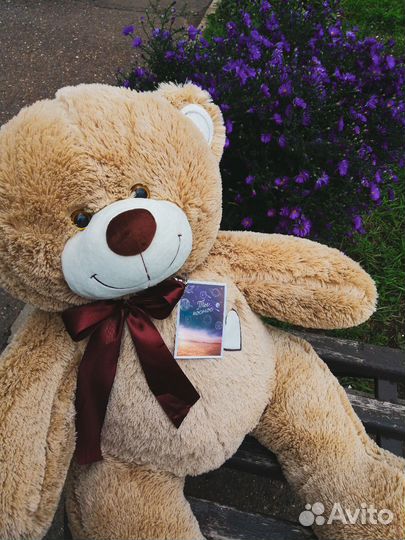 Плюшевый мишка