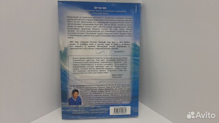 Божье цунами (Питер Цукахира)