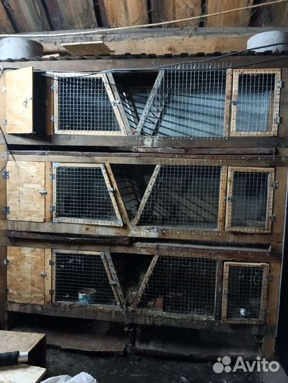 Клетка для кролика