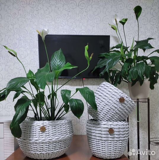 Кашпо комплект из ротанга