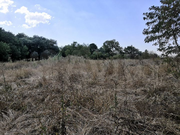 Участок 15 сот. (ИЖС)