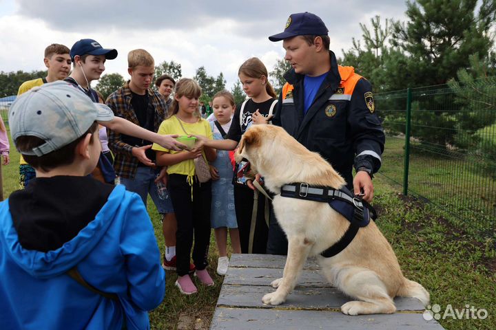 Услуги кинолога