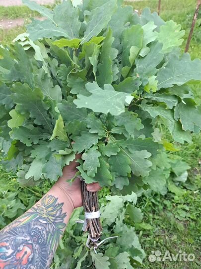 Дубовые банные веники