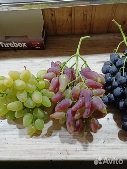 Черенки винограда