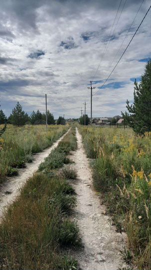 Участок 10 сот. (ИЖС)