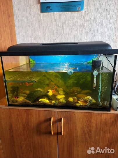 Аквариум 75 литров с рыбками