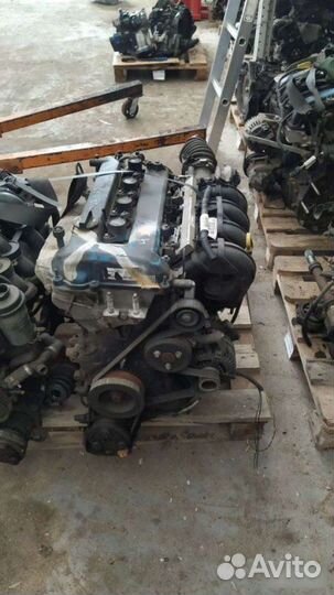 Двигатель Ford Focus 2 qqdb