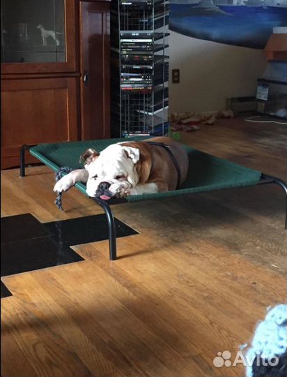 Лежанка для собаки