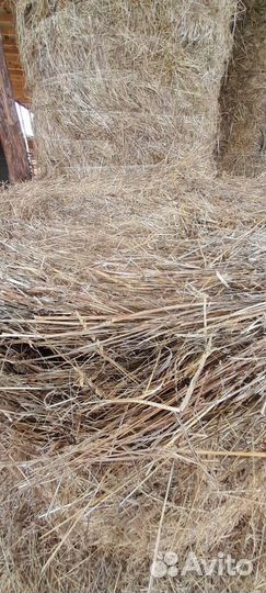 Продам сено в рулонах