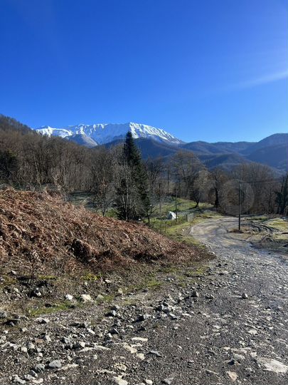 Участок 54 сот. (ИЖС)