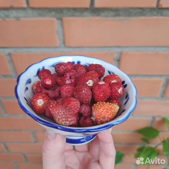 Розетка, креманка Гжель