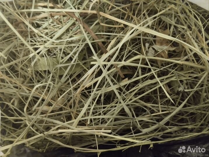 Сено для морской свинок, кроликов