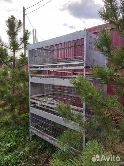 Клетки для кур бройлеров