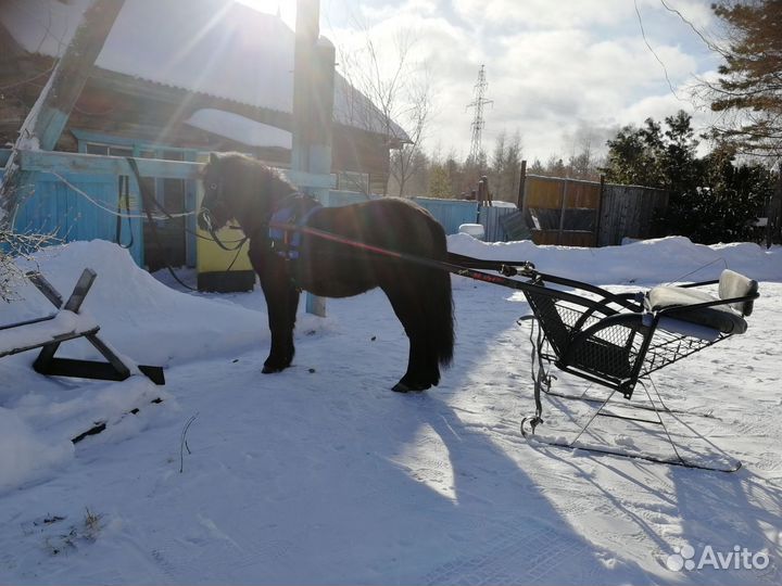 Двуколка для пони