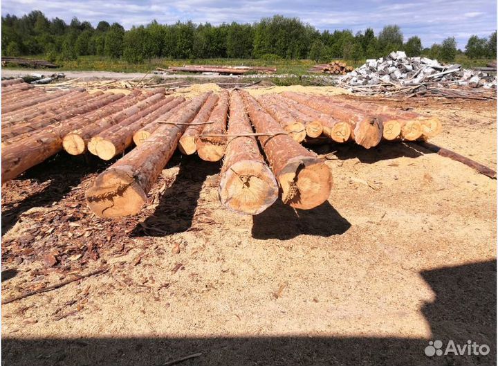 Срубы строительство