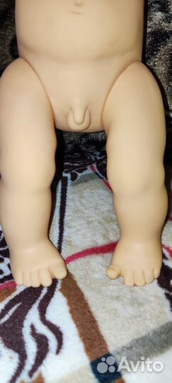 Куклы анатомические Цена за все