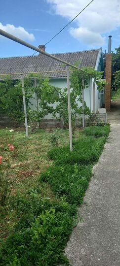 Дом 40 м² на участке 17 сот.