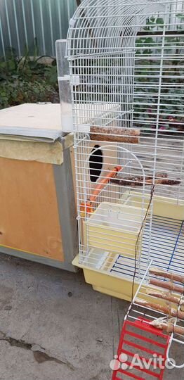 Клетка для попугая