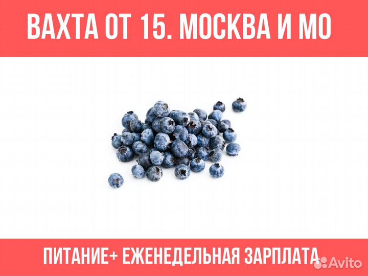 Вахта Москва, м/ж, пары фикс ставка сортировщик