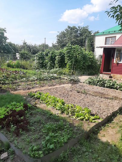 Дача 40 м² на участке 4,2 сот.