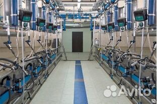 Молокопровод на 50 голов крс