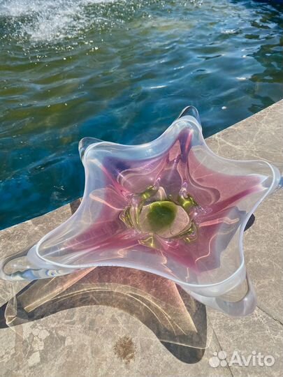 Морская звезда. Ваза by Josef Michael Hospodka