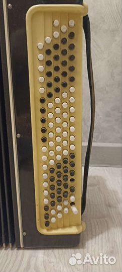 Баян унисон