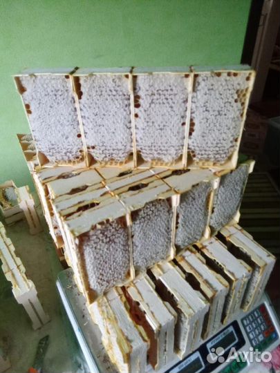 Сотовый мёд, мед в сотах