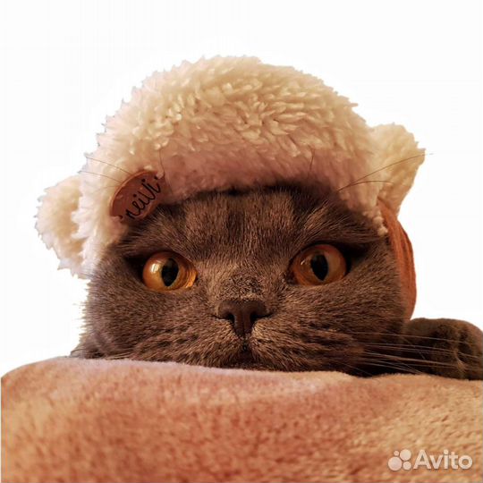 Головные уборы для животных