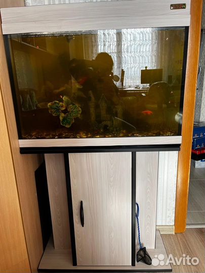 Аквариум с тумбой 120 литров