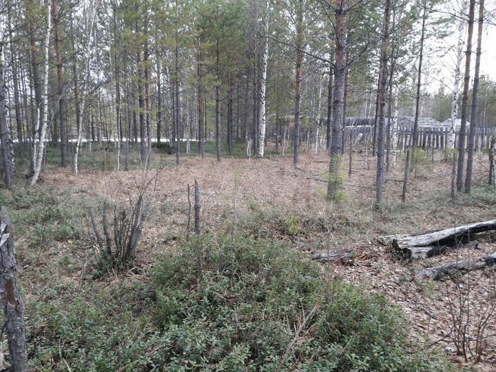 Участок 12 сот. (СНТ, ДНП)