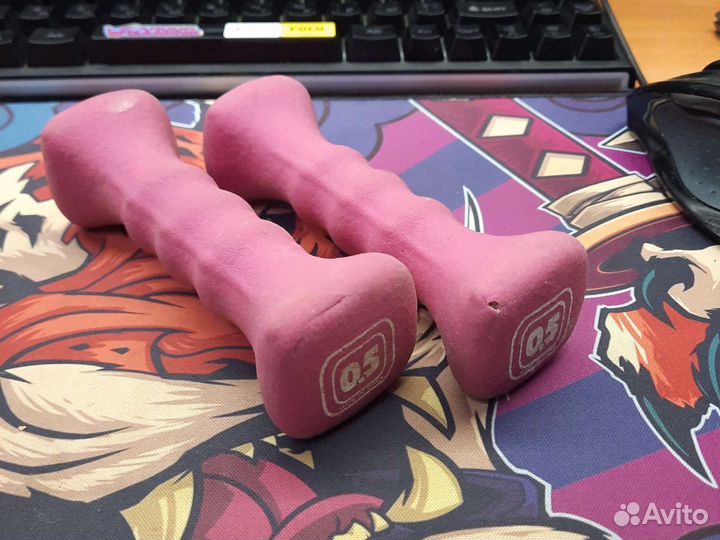 Гири Детские, 500 гр