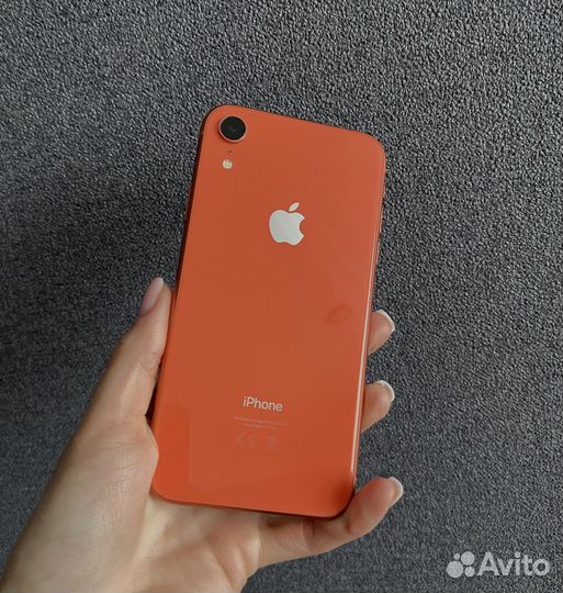 iPhone XR