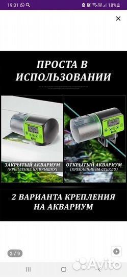Аквариумные рыбки