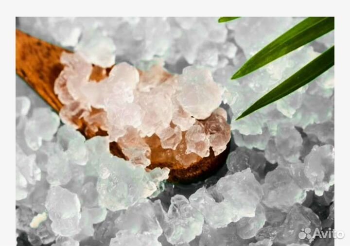 Молочный Тибетский гриб,Морской Индийский,Комбуча