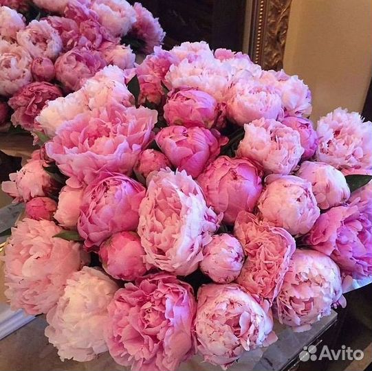 Пионы Розы Доставка