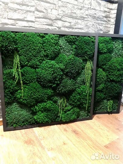 Панно из стабилизированного мха